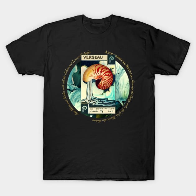 the astrological tarot – aquarius, verseau T-Shirt by jennyariane